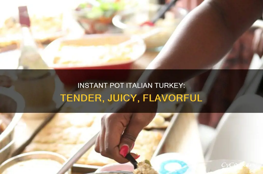 how to cook italian turkey breast in indtant pot