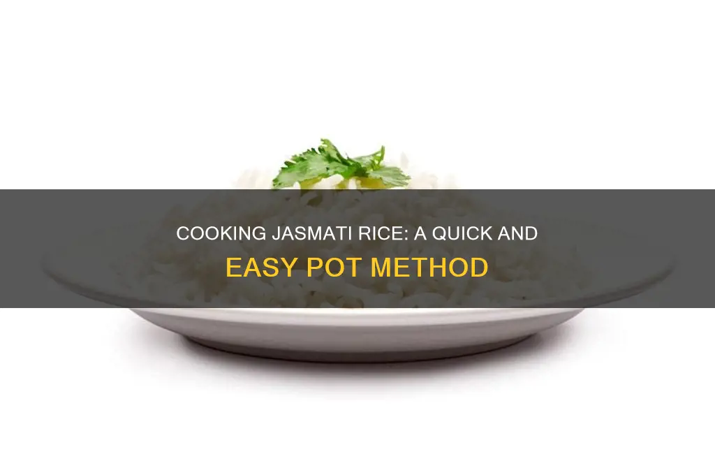 how to cook jasmati rice in a pot