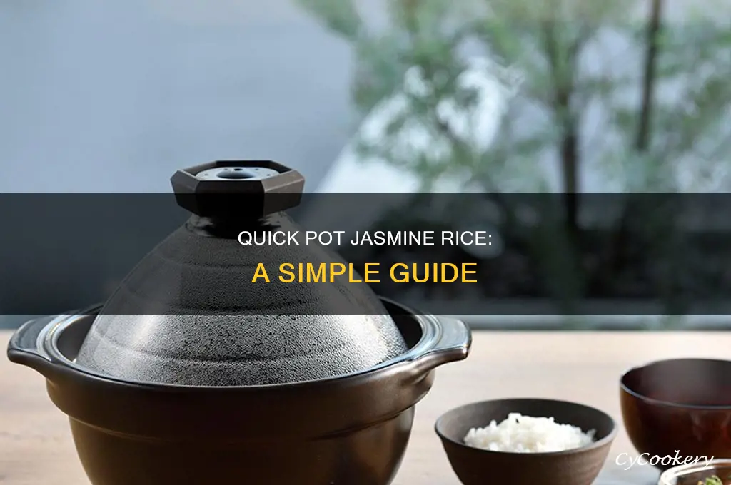 how to cook jasmine rice in power quick pot