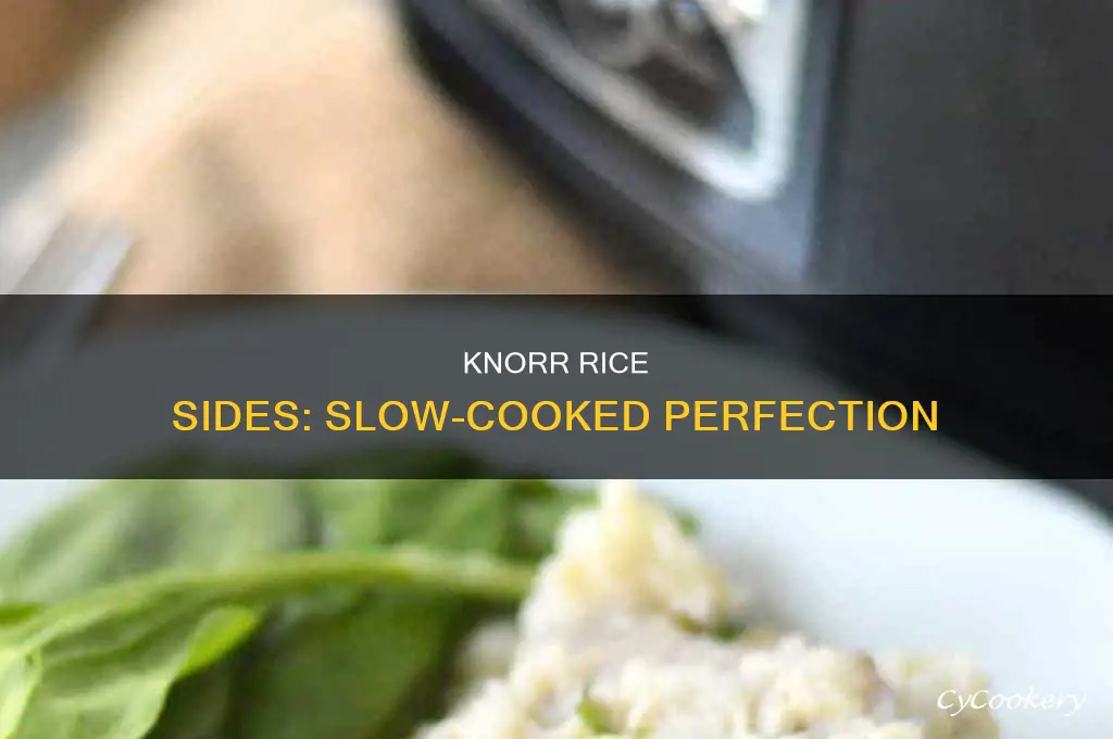 how to cook knorr rice sides in crock pot