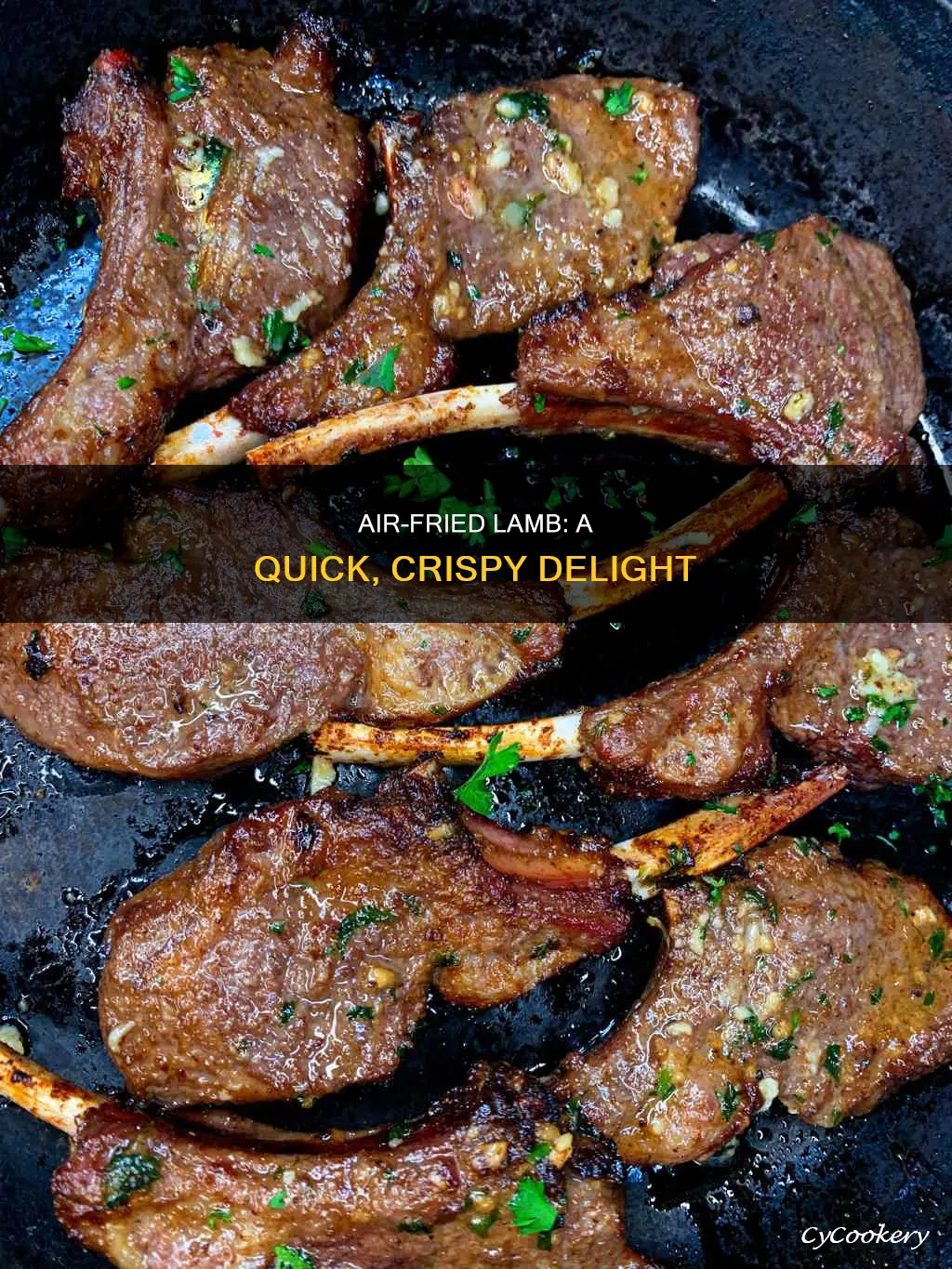 how to cook lamb air fryer