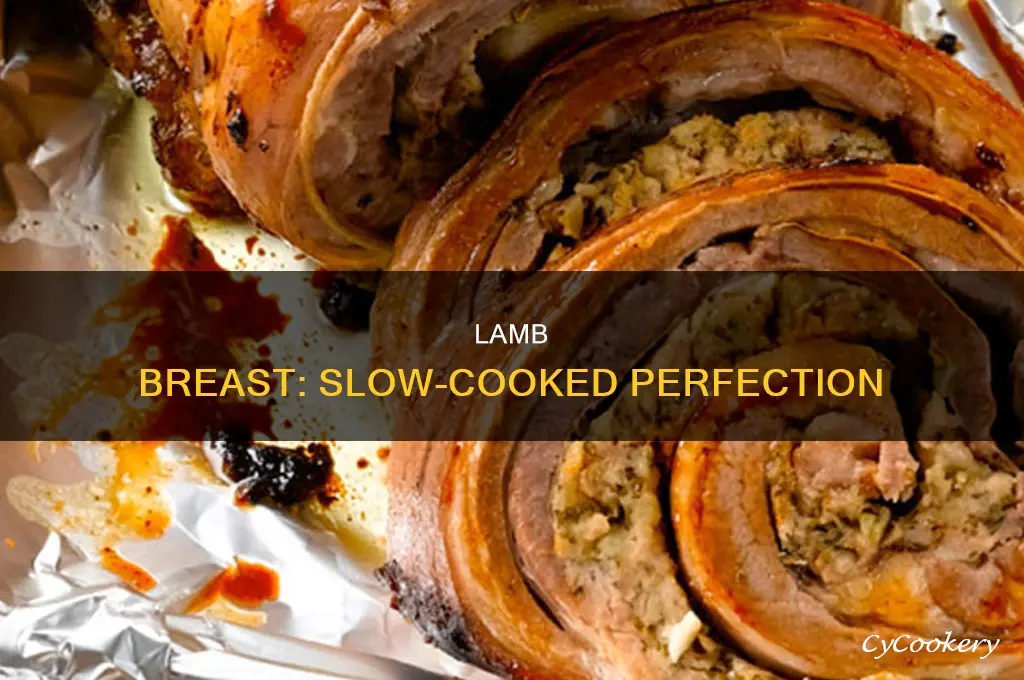 how to cook lamb breast in crock pot