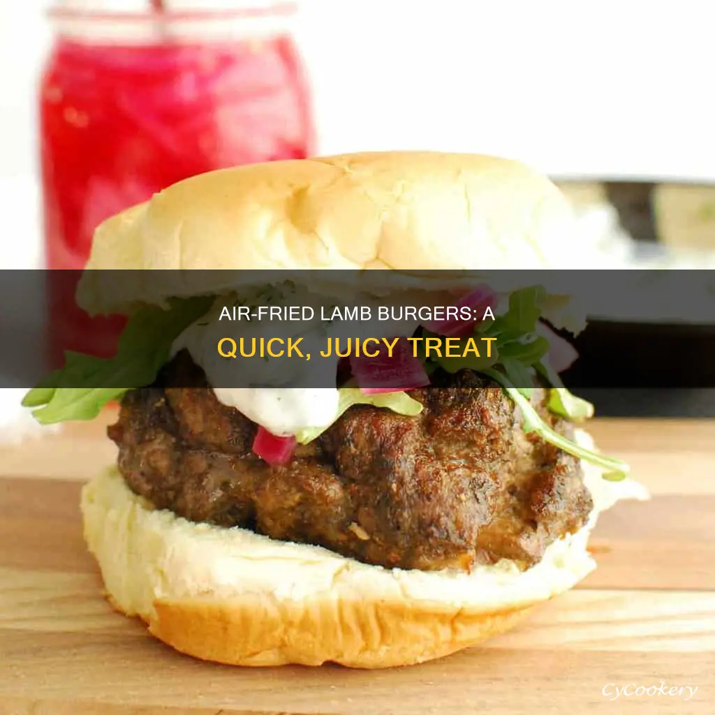 how to cook lamb burgers in air fryer