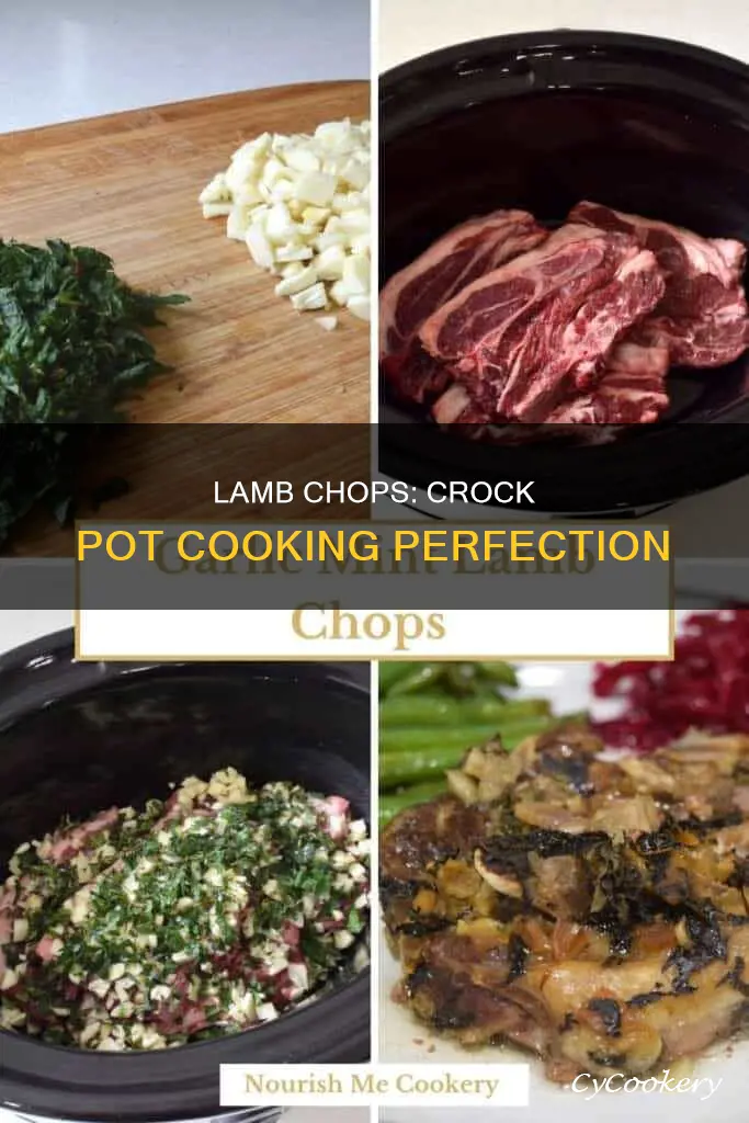how to cook lamb chops in a crock pot