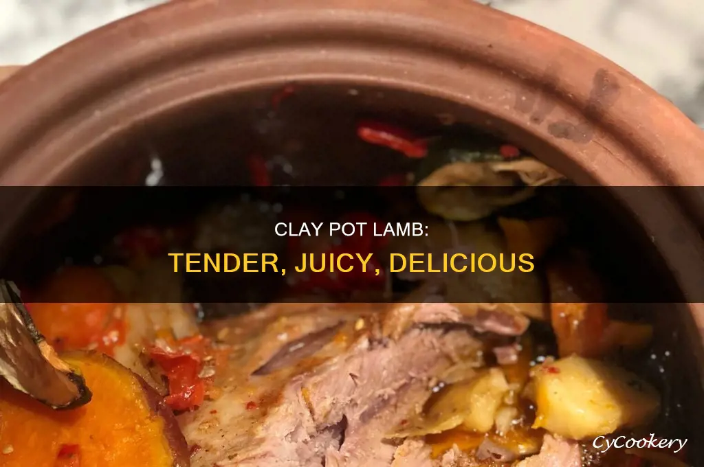 how to cook lamb in a clay pot