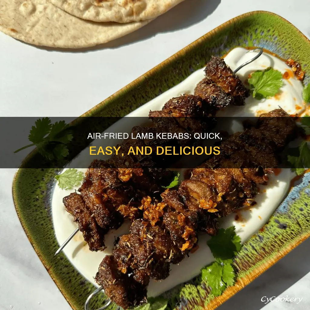 how to cook lamb kebabs in air fryer