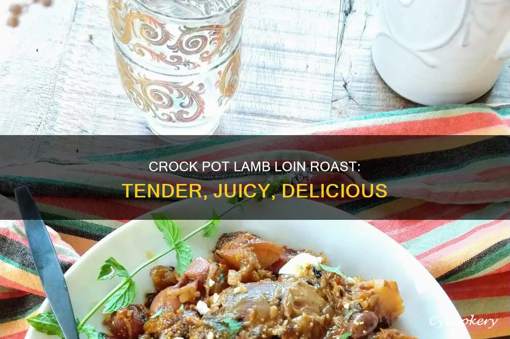 how to cook lamb loin roast in crock pot