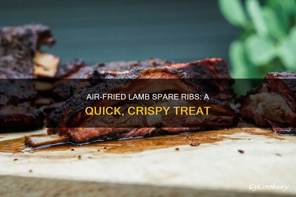 how to cook lamb spare ribs in air fryer