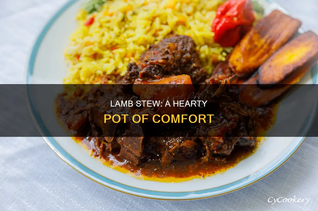how to cook lamb stew in a pot