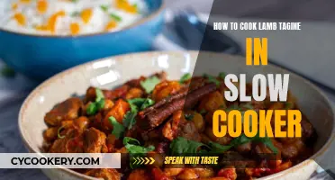 Mastering Lamb Tagine: Slow Cooker Style