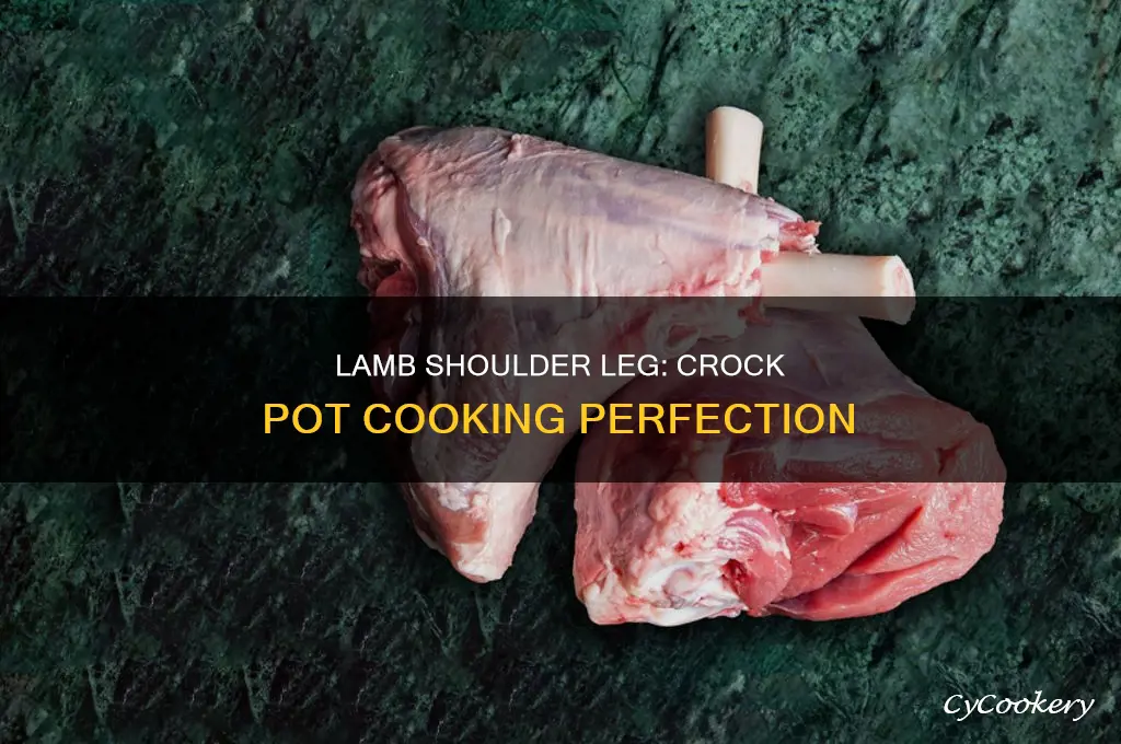 how to cook lambs shouder leg on the crock pot