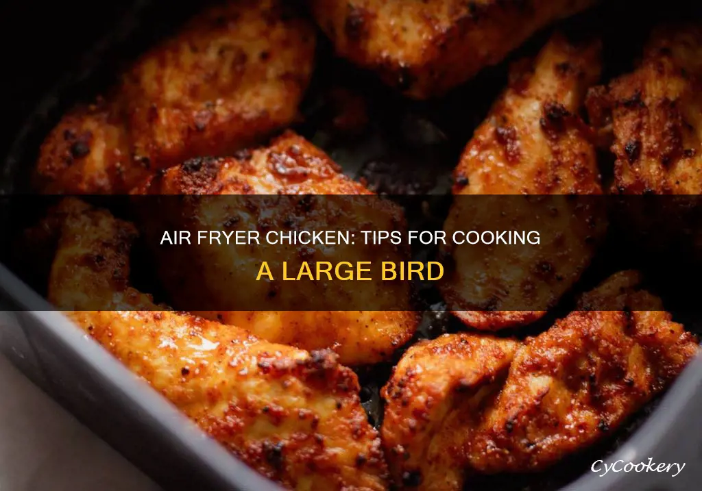 how to cook large chicken in air fryer