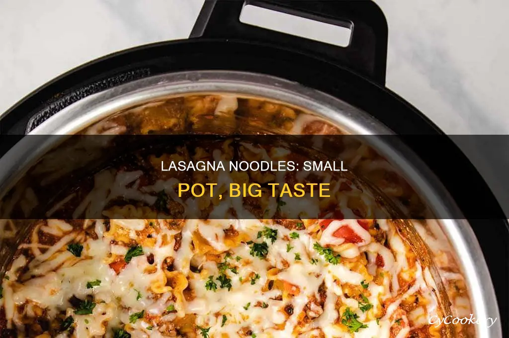 how to cook lasagna noodles in small pot