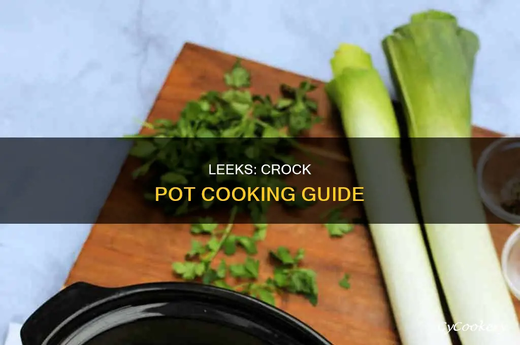 how to cook leeks crock pot