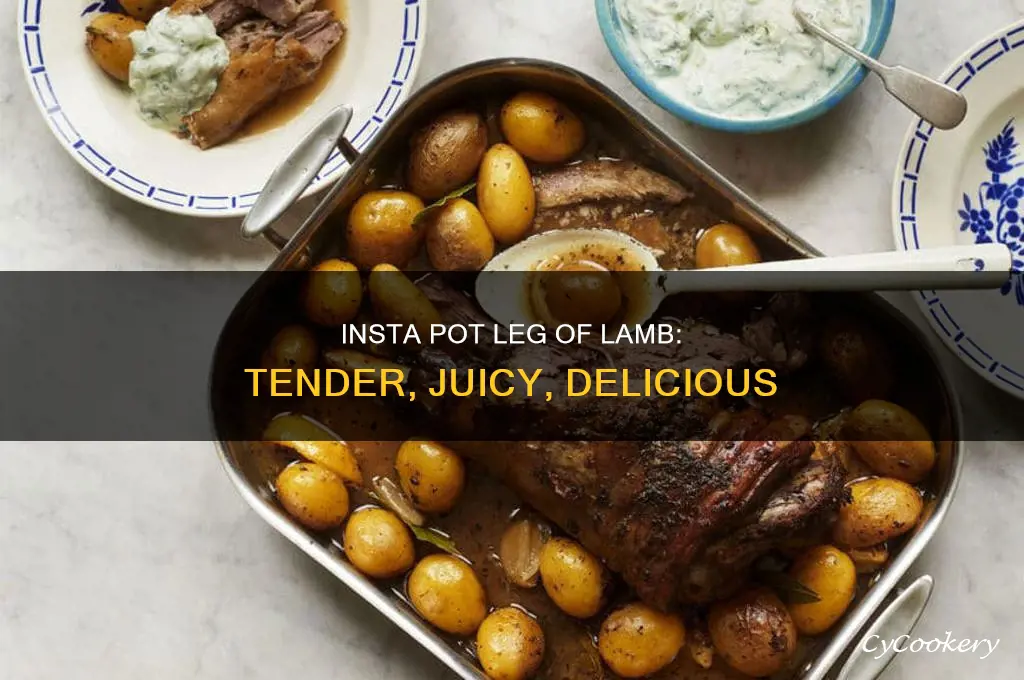 how to cook leg of lamb in insta pot