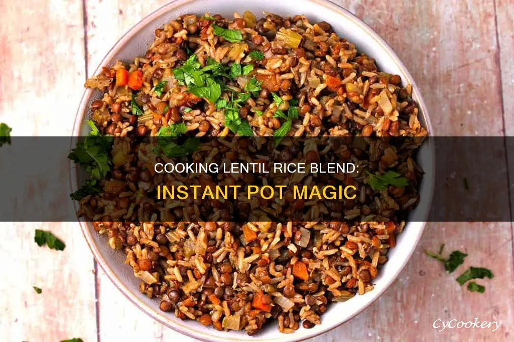 how to cook lentil rice blend instant pot