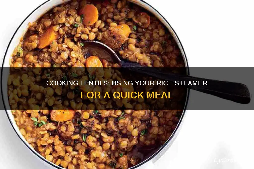 how to cook lentils in a rice steamer