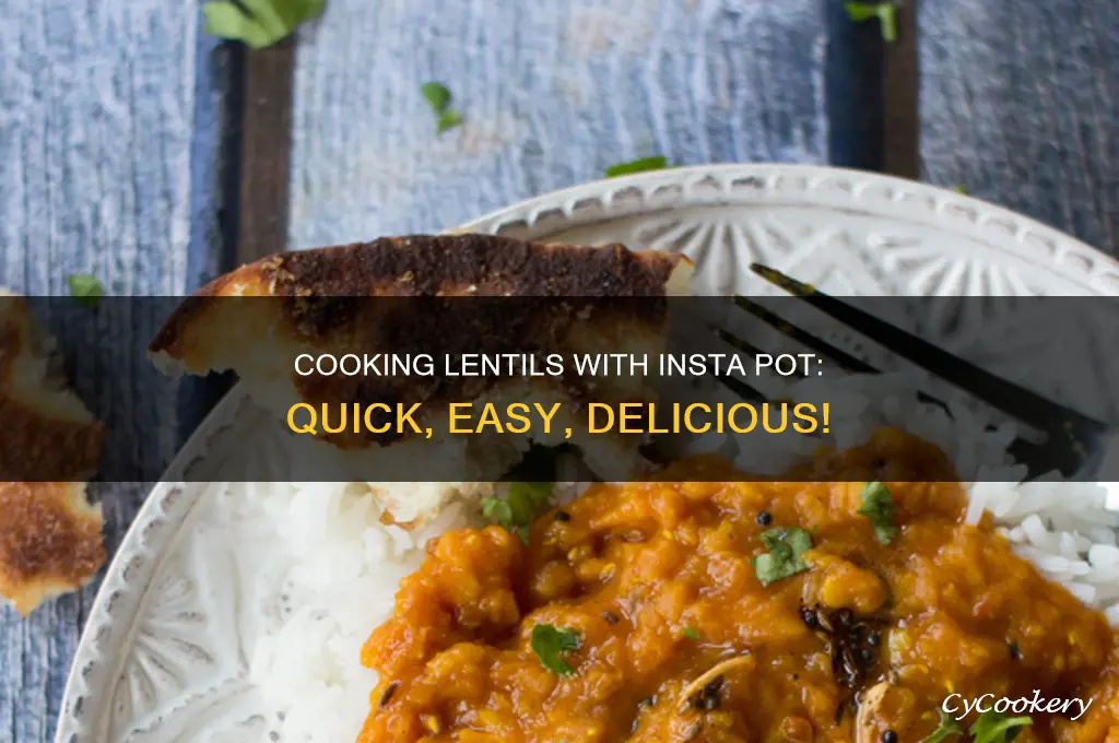 how to cook lentils in insta pot