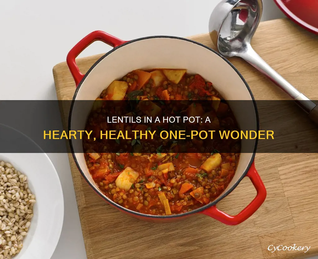 how to cook lentils on hot pot