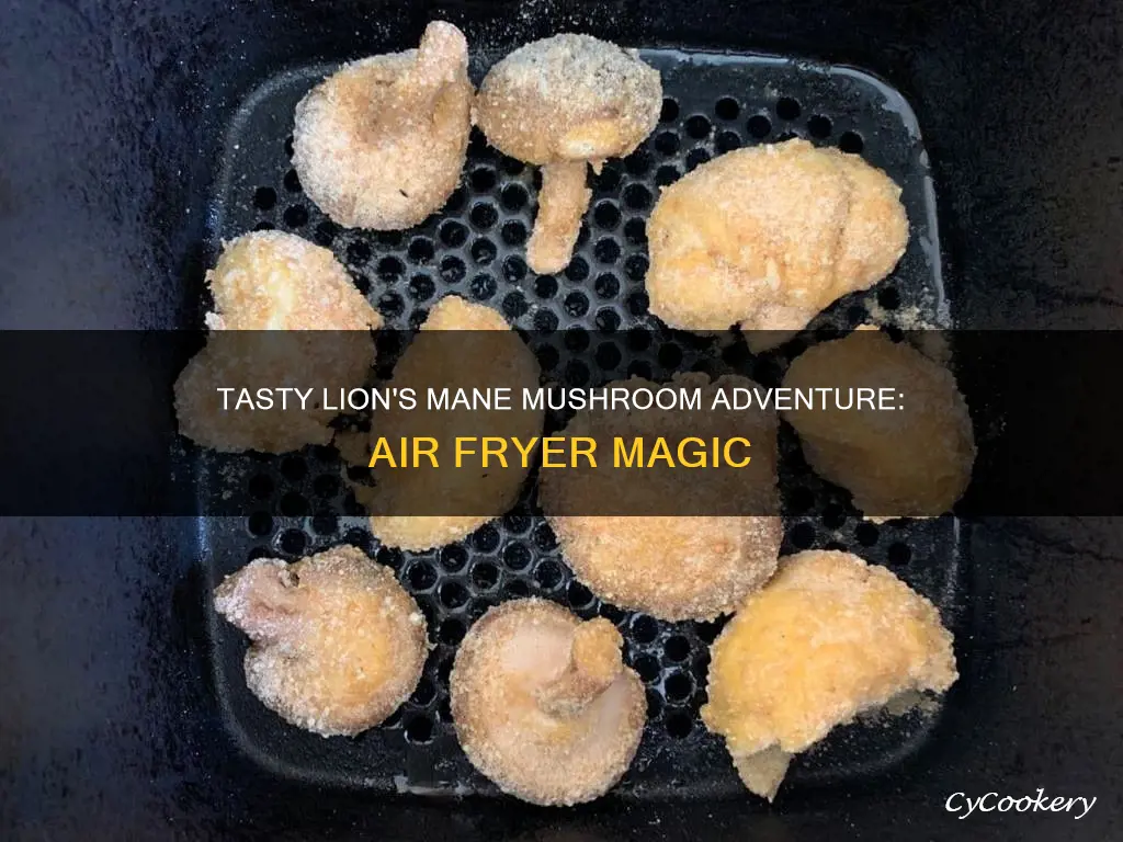 how to cook lions mane mushroom air fryer