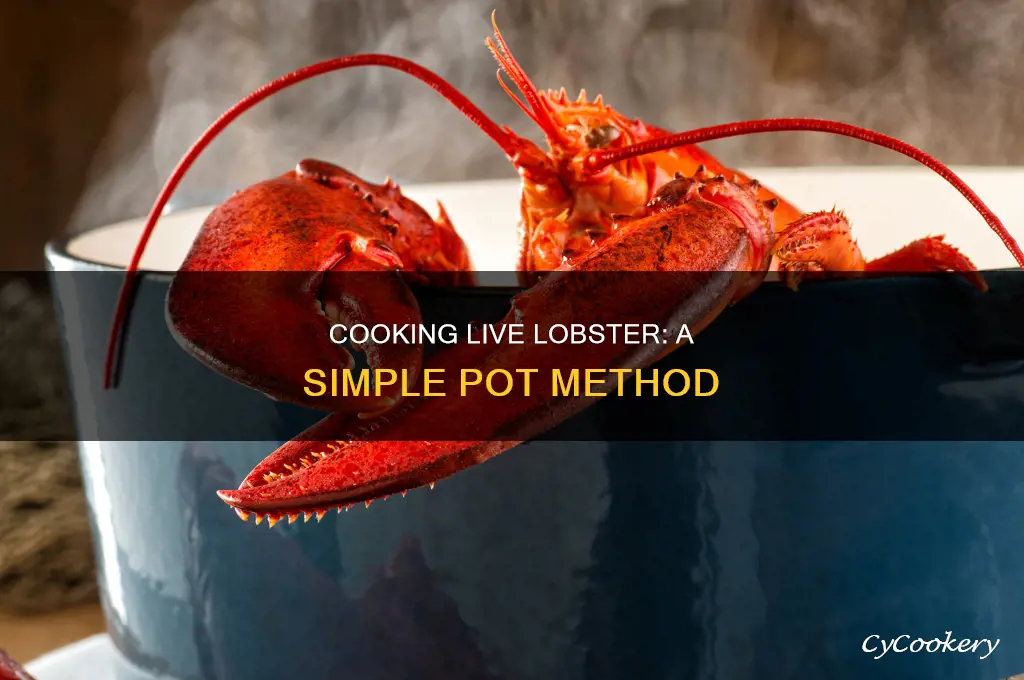 how to cook live lobster in a pot