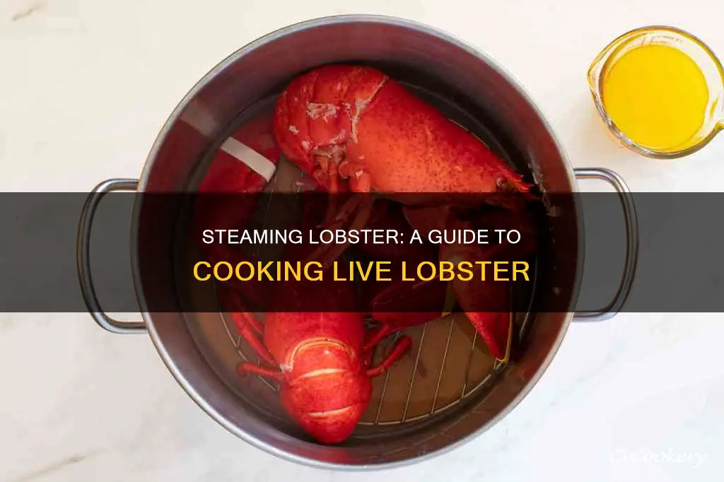 how to cook live lobster steam