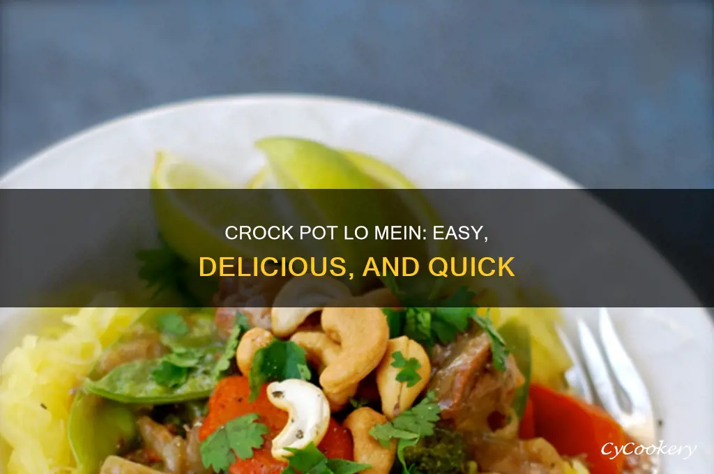 how to cook lo mein in crock pot