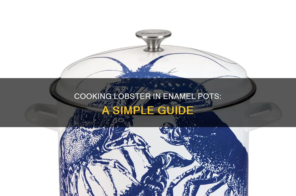 how to cook lobster in enamel pots