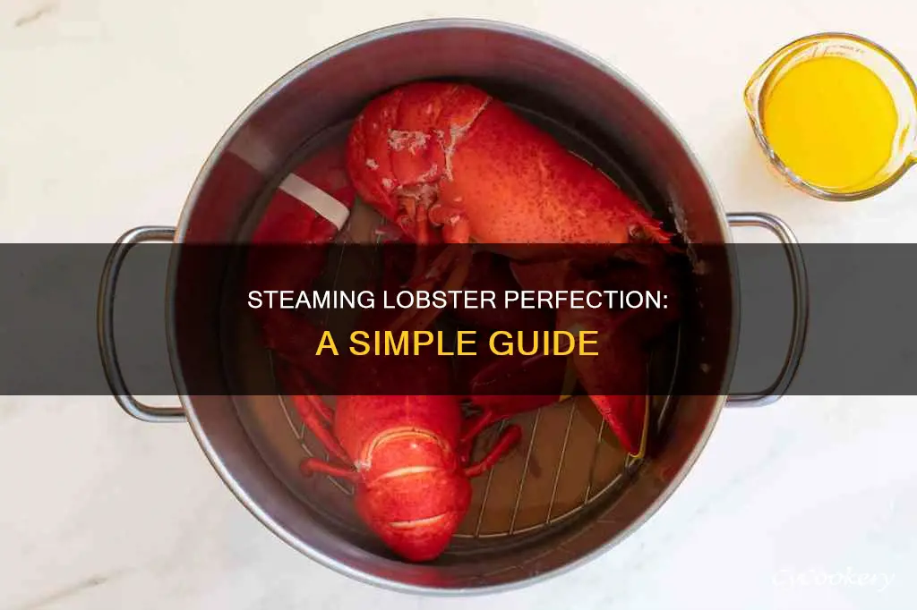 how to cook lobster steamed