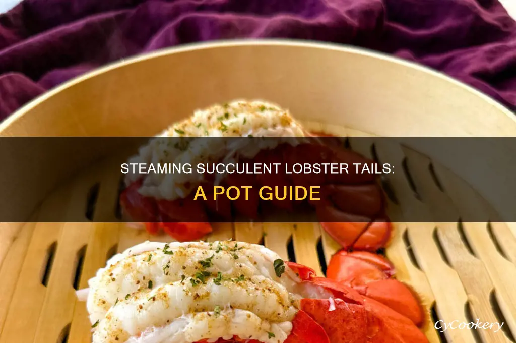 how to cook lobster tail in a pot