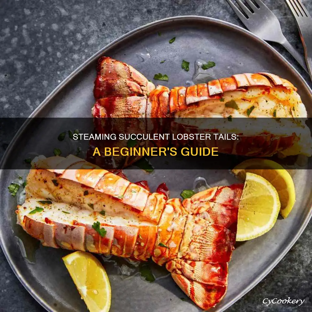 how to cook lobster tail steam