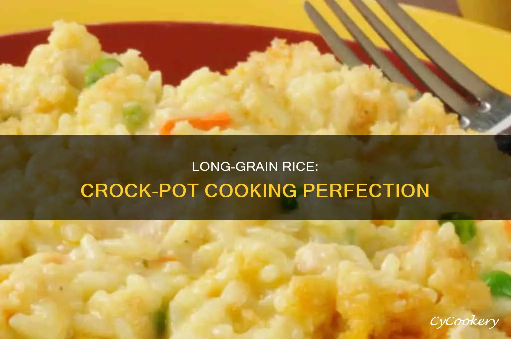 how to cook long grain rice in a crock pot