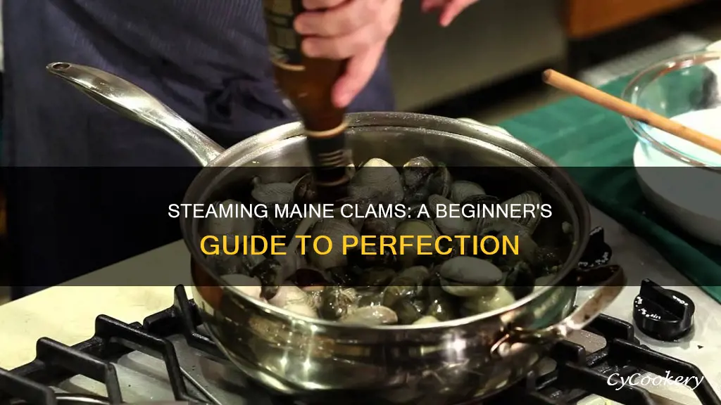 how to cook maine steamer clams