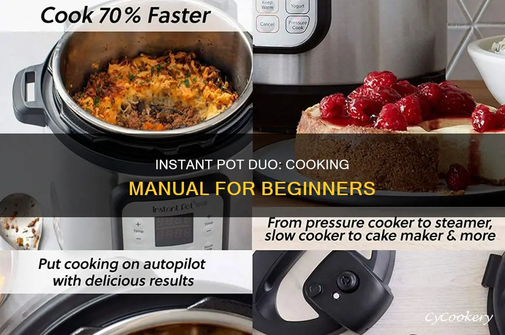 how to cook manual high oninstant pot duo