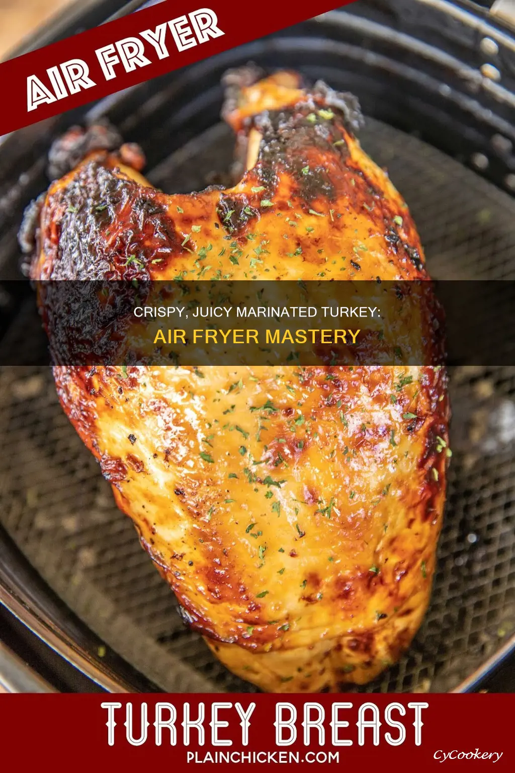 how to cook marinated turkey tips in air fryer