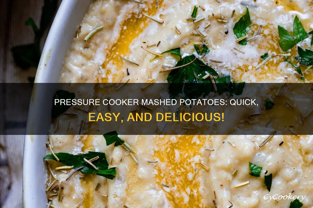 how to cook mashed potatoes in crock pot pressure cooker