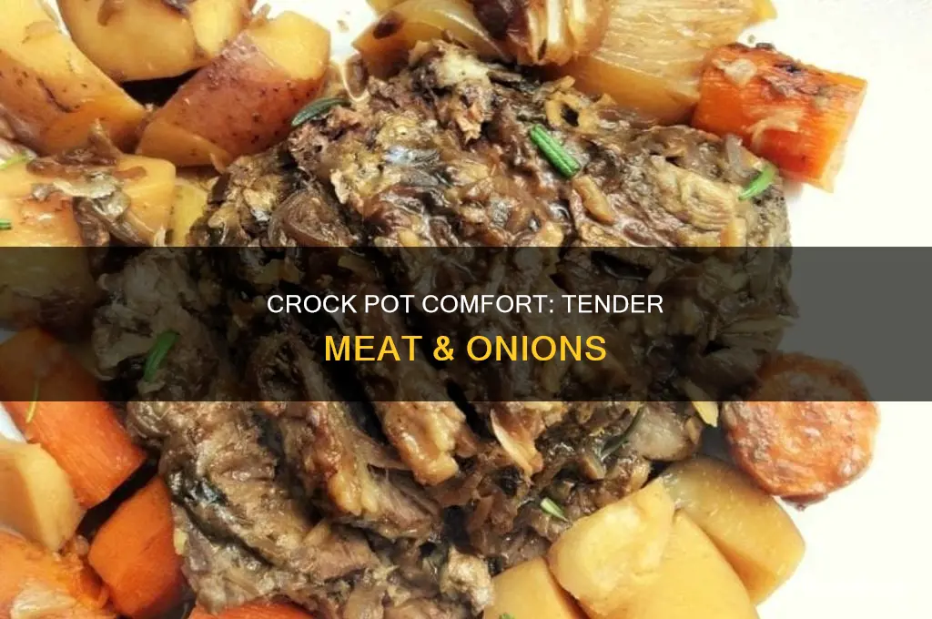 how to cook meat and onions in a crock pot