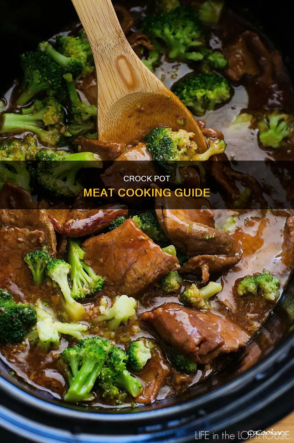 how to cook meat in a crock pot