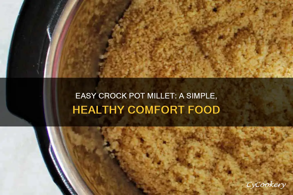how to cook millet in a crock pot