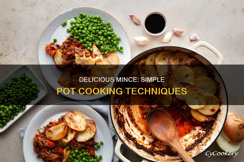 how to cook mince in a pot