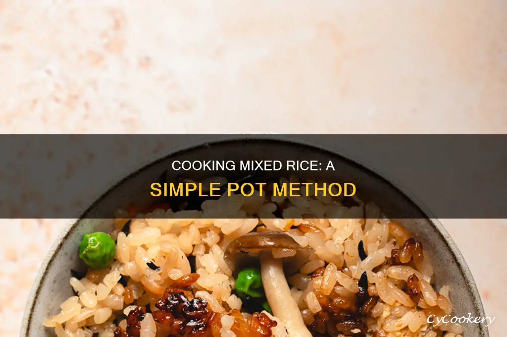 how to cook mixed rice in a pot