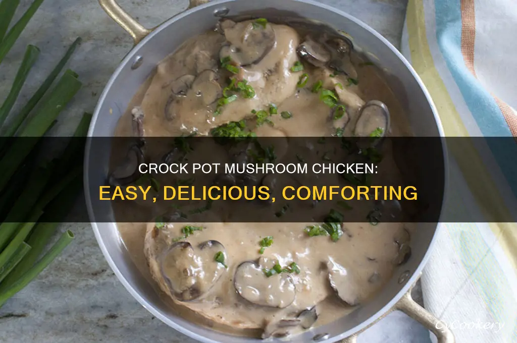 how to cook mushroom chicken in crock pot