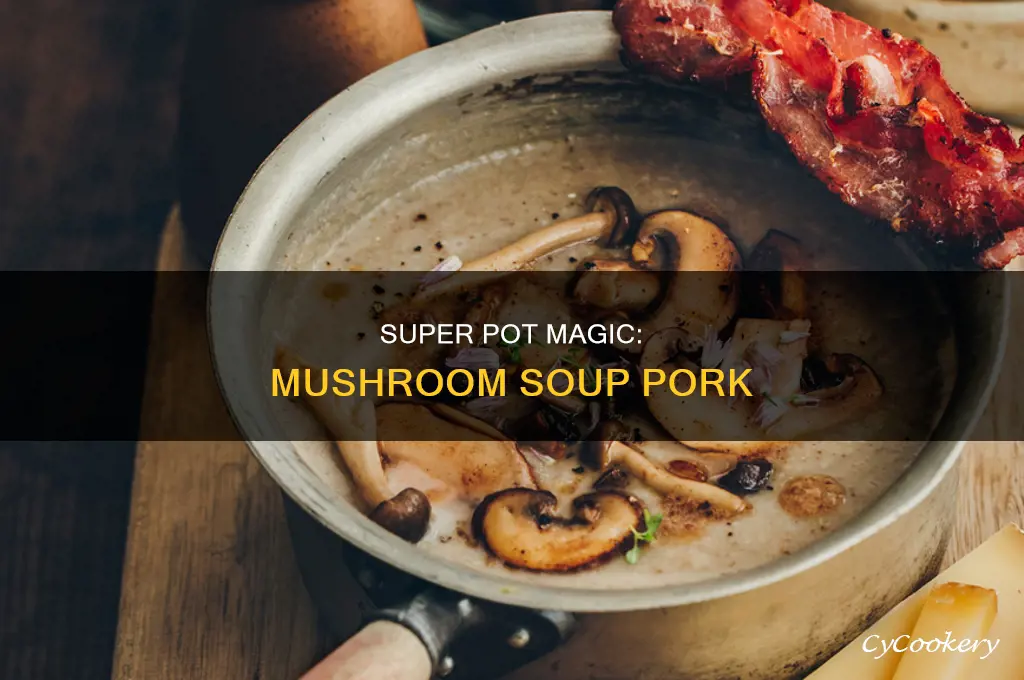how to cook mushroom soup pork in a super pot