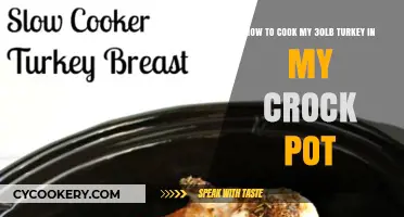 Crock Pot Turkey: Cooking My 30-Pounder