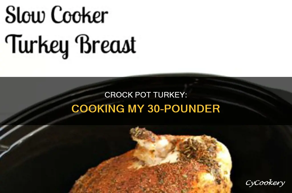 how to cook my 30lb turkey in my crock pot