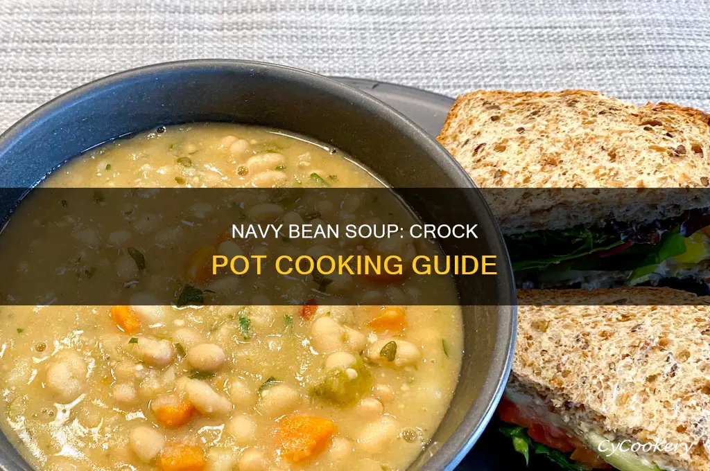 how to cook navy bean soup in a crock pot