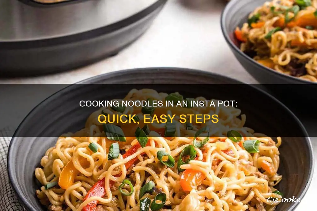 how to cook noodles in an insta pot