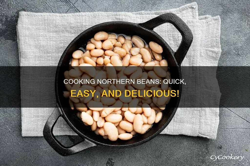 how to cook northern beans in a crop pot