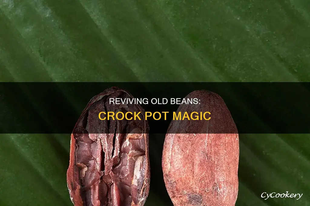 how to cook old beans crock pot