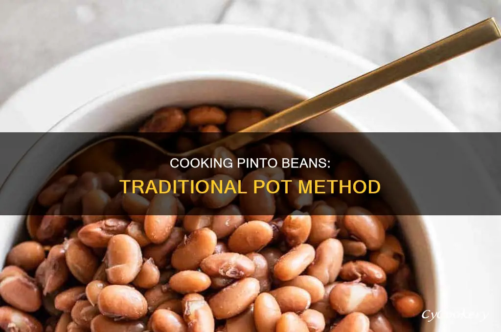 how to cook old fashioned pinto beans in a pot